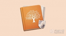 家谱族谱制作软件 MacFamilyTree 9.2 for Mac 中文激活版下载