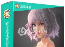 块面笔触绘制女性人物身体皮肤数字绘画实例训练视频教程