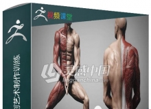 ZBrush人体解剖学雕刻艺术制作训练视频教程