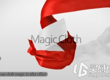 飘动绸缎可调色视频素材Videohive Magic Cloth Motion Graphics