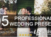 婚庆lightroom预设professional wedding presets