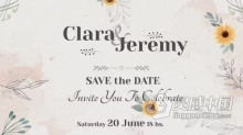 优雅浪漫婚礼请柬颁奖仪式宴会活动晚会邀请函AE模板下载 Wedding Invitation