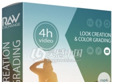 RAWEXCHANGE - 电影级图像调色创作和颜色分级视频教程