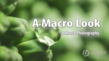 宏观摄影微距摄影-Blake Rudis - A Macro Look at Macro Photography中英字幕