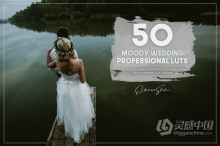50组喜怒无常电影风格情绪婚礼人像LUTs预设 50 Moody Wedding LUTs Pack