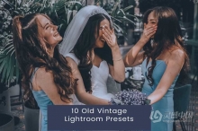 老式复古婚礼人像Lightroom预设 10 Old Vintage Lightroom Presets