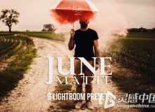 时尚肖像和风景摄影Lightroom预设June Matte Lightroom Presets