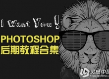 Photoshop后期教程打包合集
