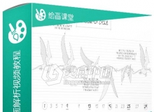 2D飞行动物动作动画解析视频教程