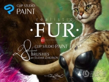 28个适用于PS和Clip Studio Paint 的逼真动物毛发绘画笔刷 Realistic FUR: 28 Brushes for CLIP STUDIO