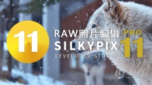 RAW照片编辑软件 SILKYPIX Developer Studio Pro 11.0.2.0 WIN版 中文汉化版下载