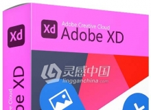 Adobe XD 34.0.12 MAC XD 2021中英文版一键安装完整版