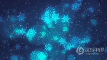 背景虚化光圈飘落的片状雪花蓝色静谧冬季降雪背景视频素材 LED大屏幕背景素材