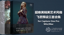 超唯美精美艺术风格飞思预设三套合集 Fine Art Styles Bundle Capture One Pro (Win/Mac)