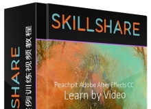 AE核心技能实例训练视频教程Peachpit Adobe After Effects CC Learn by Video