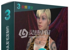 3dsmax中KRAKATOA头发毛发制作视频教程
