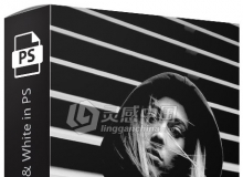 Phlearn-Aaron Nace How to Master Black and White 在PS中掌握黑白调色视频教程