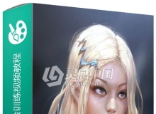 Photoshop靓丽女孩大师级手绘训练视频教程