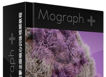 C4D中ARNOLD渲染引擎全面核心训练视频教程 Mographplus Comprehensive Introductio...