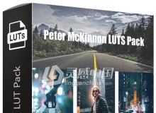 Vlog网红Peter McKinnon AE FCP PR PS LUTS Pack 调色预设包(Win/Mac)