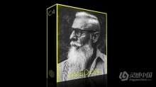 Richard Avedon - 经典影黑白胶片Lightroom预设 Avedon Lightroom Presets