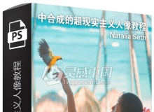 PHLEARN摄影师Natalia Seth超现实主义肖像Photoshop合成视频教程