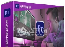 Premiere Pro 2020制作精美视频全面训练视频教程