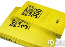 LGC40 世界版式300强 NO.3(20DVD)平面排版画册模板矢量PSD分层素材图库