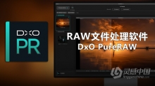 最好的RAW文件处理软件 DxO PureRAW v1.1.0 Build 221 x64破解版