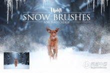 【PS笔刷】25款冬天下雪雪花雪景冰柱PS笔刷 25 Snow Brushes for Photoshop