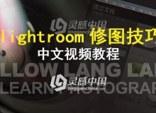 lightroom修图技巧中文视频教程