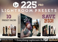 225组电影婚纱磨砂自然光Lightroom预设合集 225 Lightroom Presets Bundle