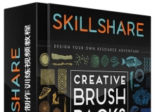 创造性图案设计制作训练视频教程SkillShare Design Your Own Creative Brush Packs...