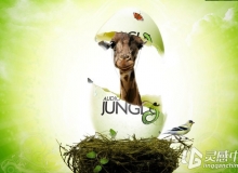 AudioJungle背景音乐第一季-AudioJungle Bundle 2014 vol. 1