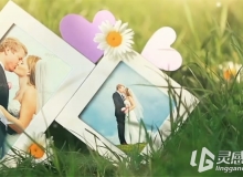 清新明媚的草地花丛中婚礼相框展示AE模板VideoHive Our Love Story Photo Gallery