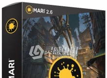 Mari三维纹理绘制软件The Foundry Mari 2.6v5 for Mac破解版免费下载