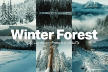 20款冬季雪景户外摄影后期调色LUT预设 20 Winter Forest Lightroom Presets