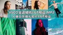 LUT预设 VSCO全滤镜转LUTs预设日系胶片风光预设人像旅拍婚礼LUT预设 VSCO MP2 支持PS/PR/AE/LR/FCPX/达芬奇
