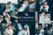 电影婚礼跟拍Lightroom预设 Wedding Vibes Photo Effects Presets