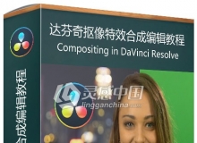 达芬奇DaVinci Resolve抠像特效合成编辑视频教程