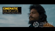 LUTs预设-悬疑神秘时尚史诗大气影视级LUTs调色84种预设文件