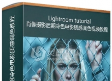 Lightroom肖像摄影后期冷色电影质感调色视频教程