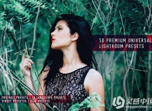 50专业高级通用完美Lightroom预设 50 Premium Universal Presets