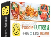 原创真Foodie转3D LUT luts 美食小清新滤镜PS PR AE fcpx/预设