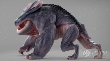 动物生物运动动画精髓大师级训练视频教程