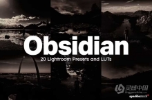 黑暗电影调色AI人工智能Lightroom预设及电影视频调色LUT预设 Obsidian Lightroom Presets and LUTs