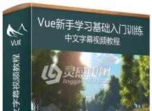 Vue新手基础入门训练中文字幕视频教程