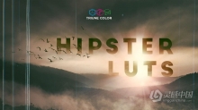 35组时髦文艺青年电影调色LUT预设 Triune Digital – Hipster LUTs