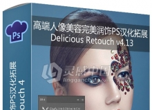 Delicious Retouch v4.13高端人像美容完美润饰PS拓展完美破解汉化版DR4完美中文版