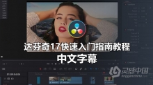 DaVinci Resolve 17编辑视频的快速入门指南教程-中文字幕